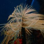 Screenshot_20250427-175428_Gallery